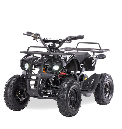 Электроквадроцикл Motax ATV Х-16 1000W Черный