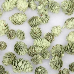 Композиция для декора «Лесное удовольствие» 11*11*14 см (150 гр), зелёный