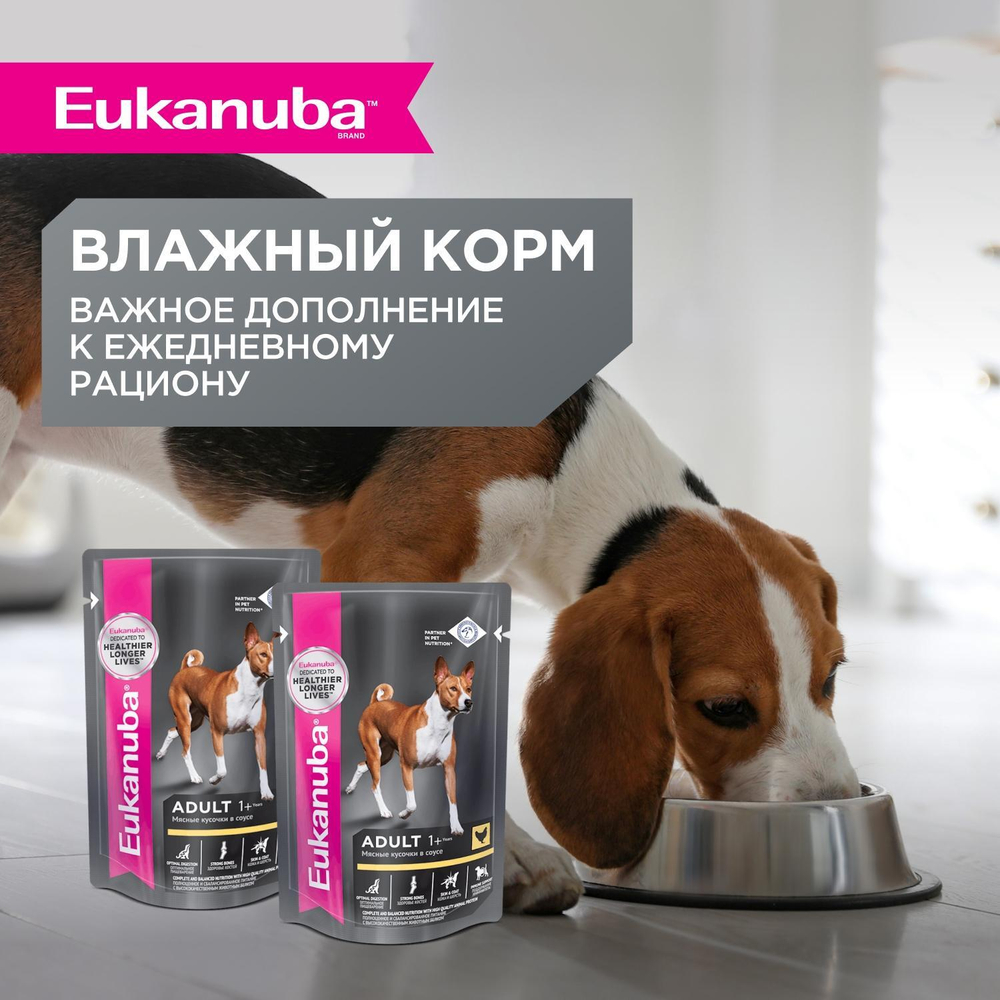 Сухой корм Eukanuba Senior Large Breed 7+ years для пожилых собак крупных и очень крупных пород с курицей 4 кг