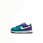 Кроссовки Nike Dunk Sneakers Purple/Green