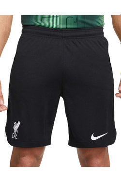 Шорты Nike Liverpool FC 23/24 Away Stadium