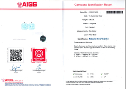 Турмалин Параиба, Октагон, 2 шт. / 9,8 карат, Мозамбик