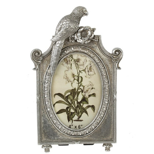 Фоторамка "Попугай" фото 10*15, L16 W3 H25,5 см