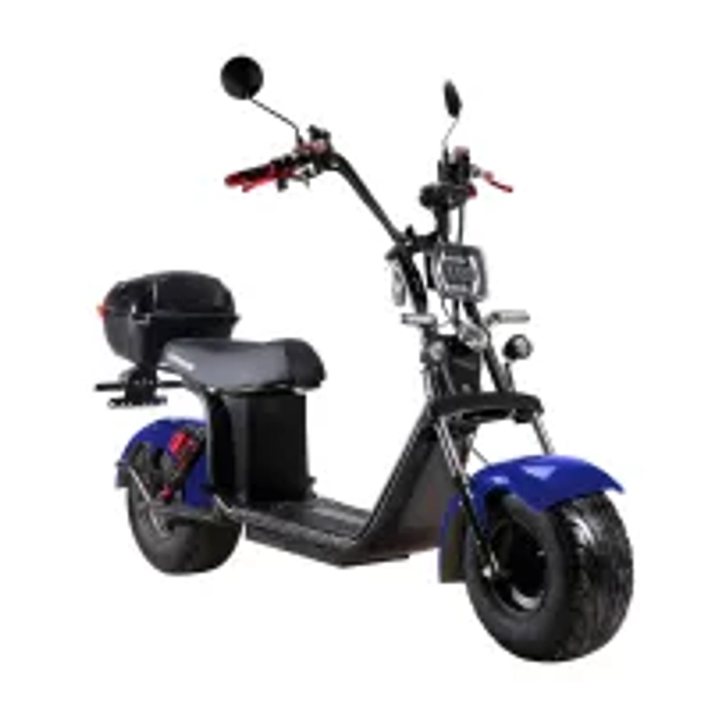 Электроскутер CityCoco Skyboard BR30-2WD (Ural) черный