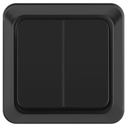 Выключатель Intro Quadro 2-104-05 двойной 10А-250В IP20 ОУ антрацит | Intro