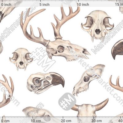 Черепа животных на белом фоне by Loft Bat 154 DPI