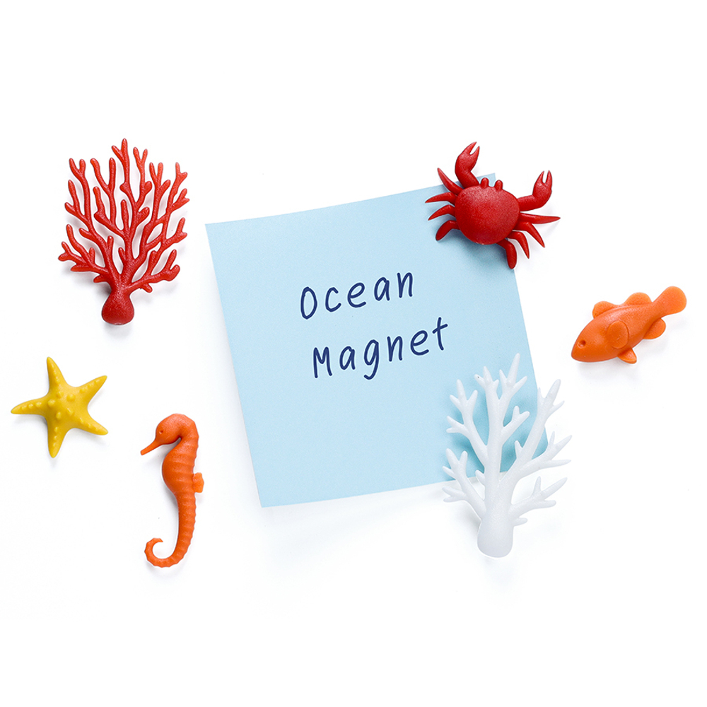 Набор магнитов ocean, 6 шт.