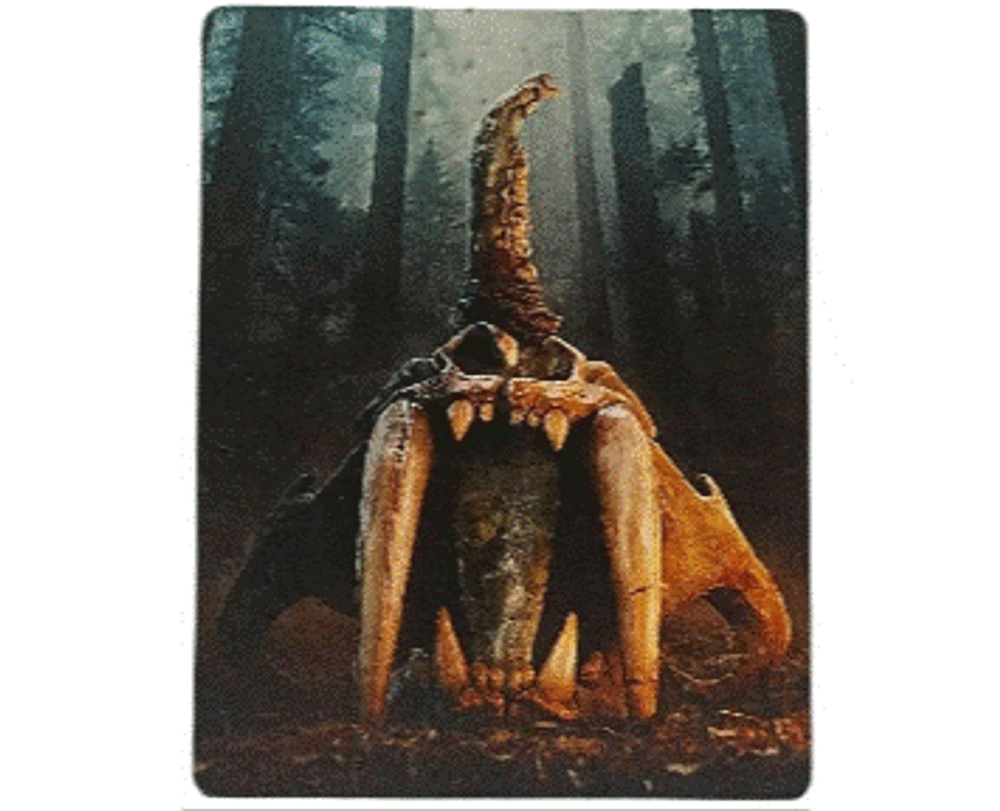 Far Cry Primal SteelBook (PS4) Б/У