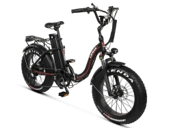 Электро фэтбайк складной Медведь Fold 350х350