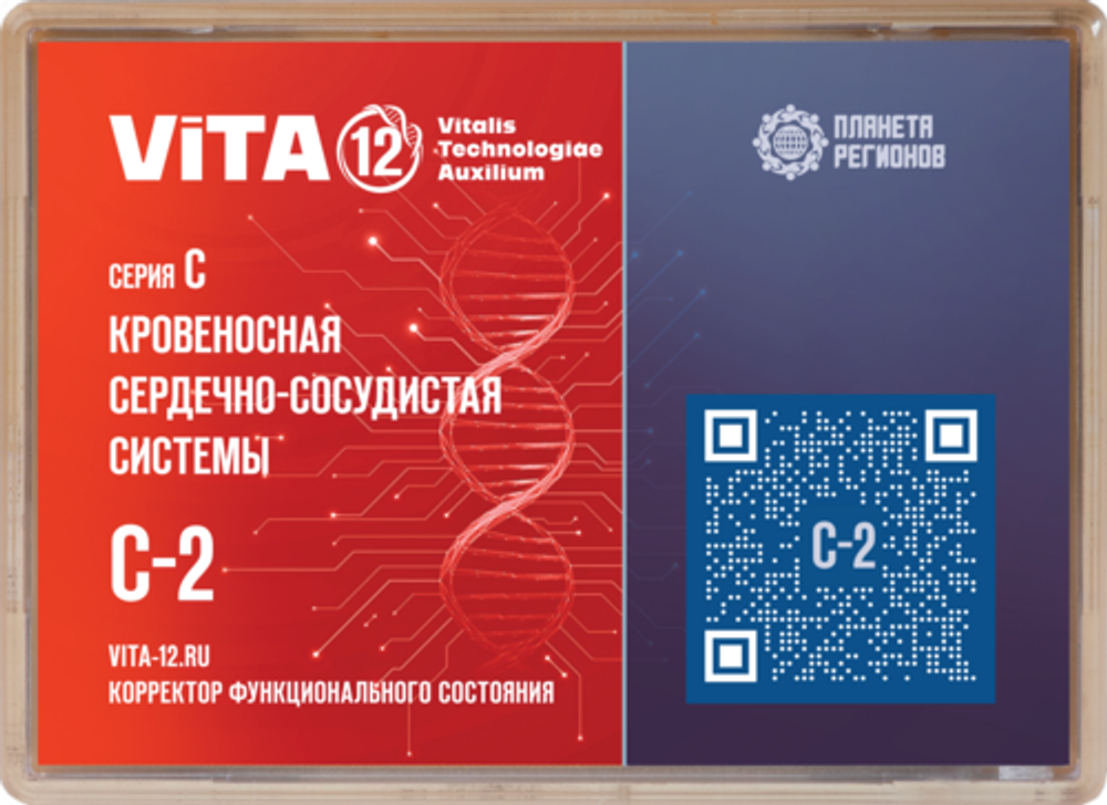 КФС 12 элементов C-2 серии &quot;Кровеносная и сердечно-сосудистая система&quot;