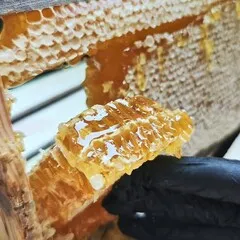 Мед луговой в сотах (рамки) / 250 гр