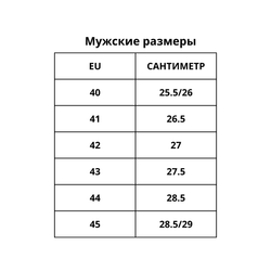 Мужские мокасины Forelli Adler