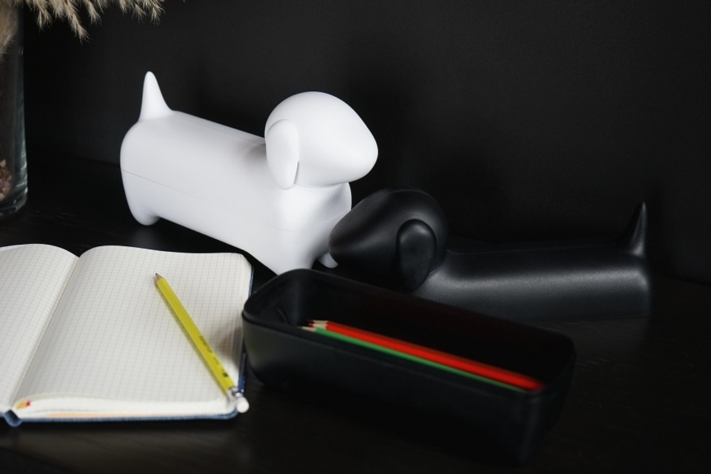 Коробка для мелочей dacholder, черная