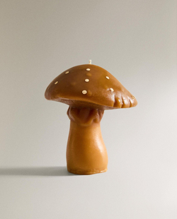 Zara Home - Маленькая ароматическая свеча гриб puntos pumpkin spice