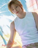публикация DICON - VOLUME N 21 STRAY KIDS : Summer KraZy I.N A Type