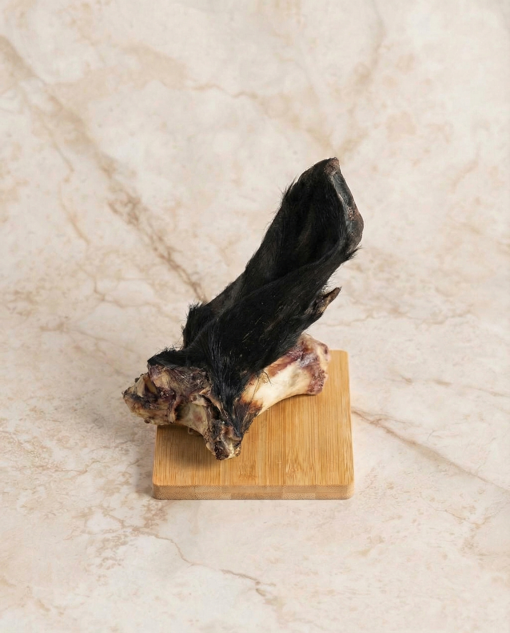 Ухо телячье с шерстью