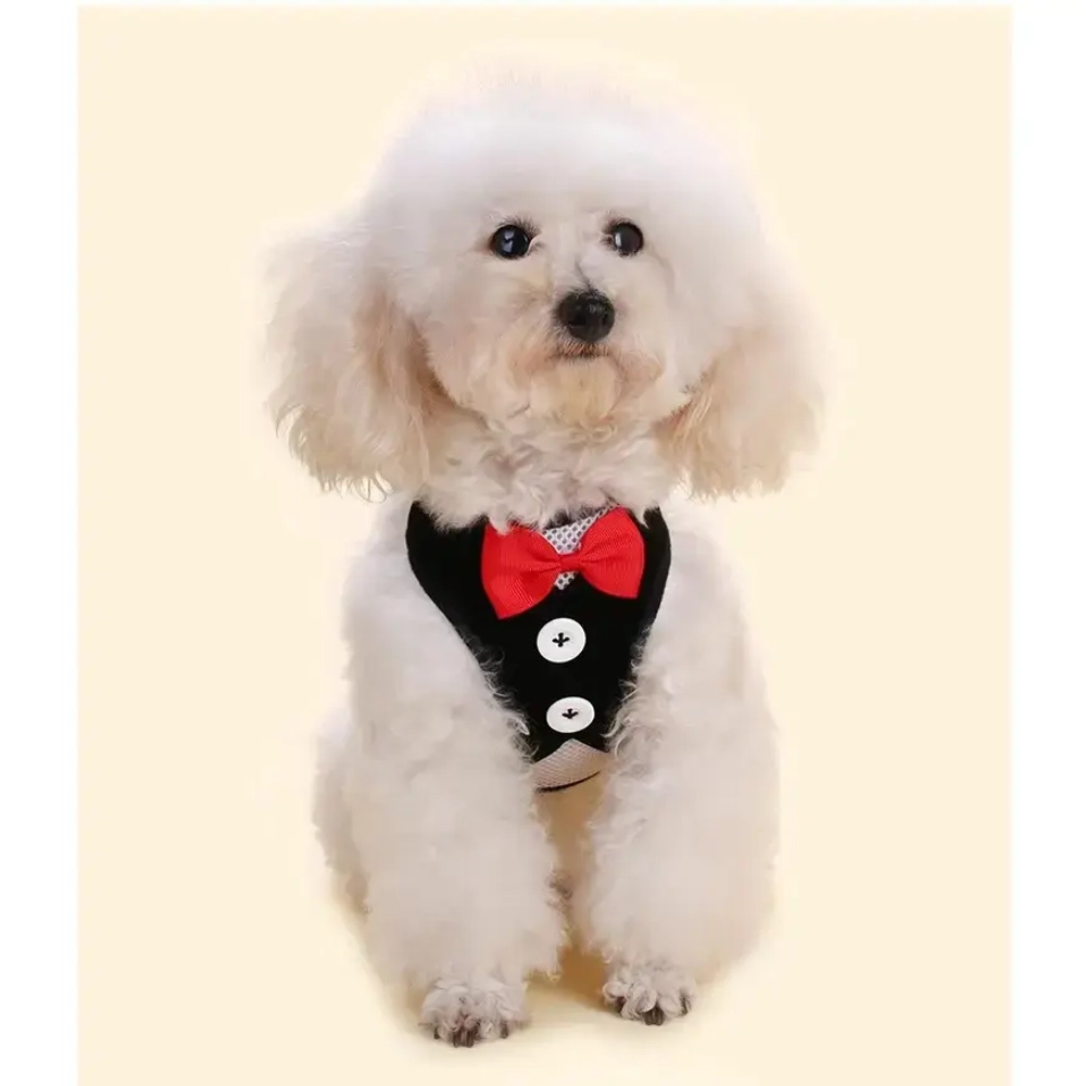 Шлейка с поводком для мелких пород собак и кошек «LAPUSIK», цвет черный, размер S