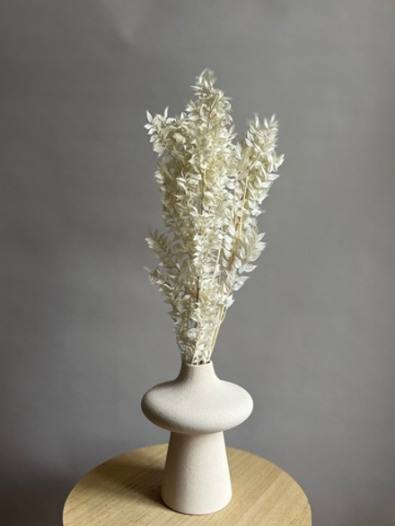 Рускус выбеленный