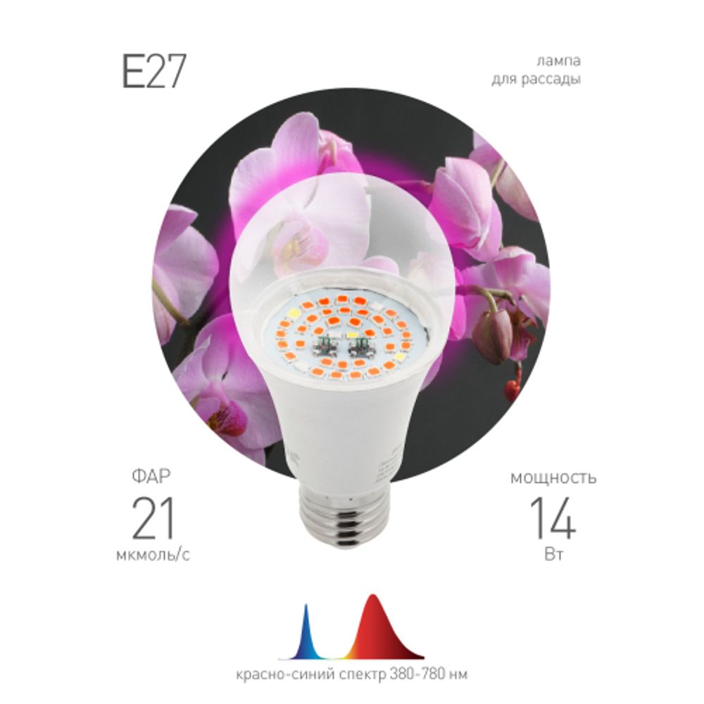 Фитолампа для растений светодиодная ЭРА FITO-14W-RB-E27 красно-синего спектра 14 Вт Е27 | Фитолампы Е27