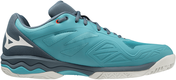 Кроссовки мужские Mizuno Wave Exceed Light All Court, арт. 61GA2218-32