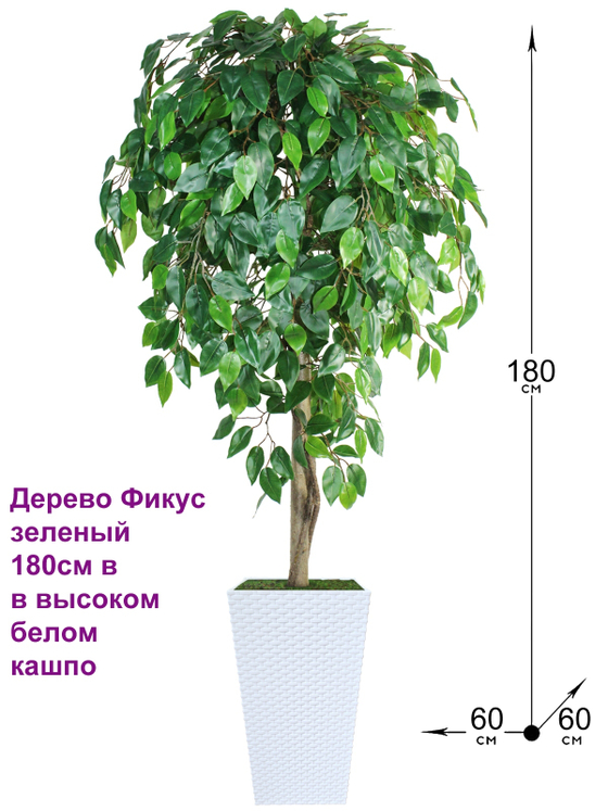 Искусственное дерево Фикус зеленый 180см в высоком белом кашпо ротанг