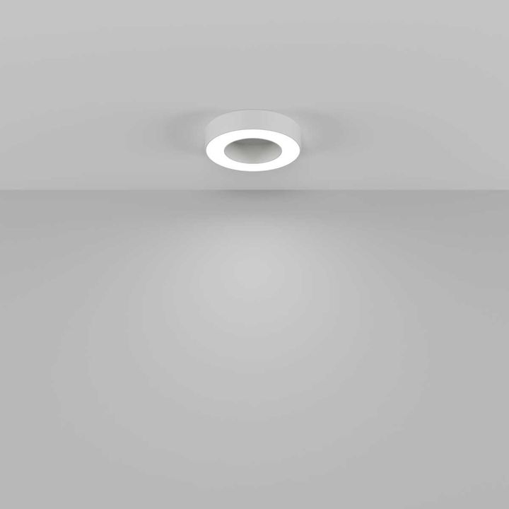 Потолочный светильник Maytoni Technical C093CL-24W4K-W