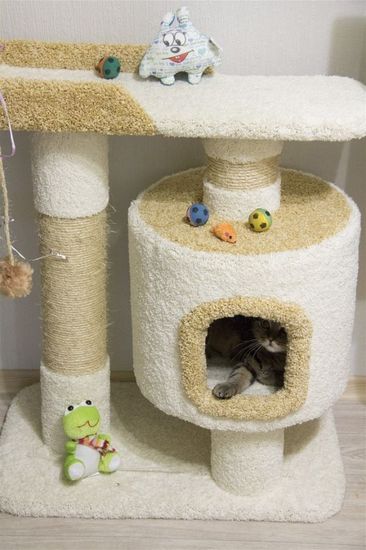 Дом для кота Д-6