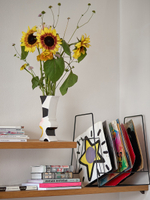 Ваза echo из коллекции accent, 25 см