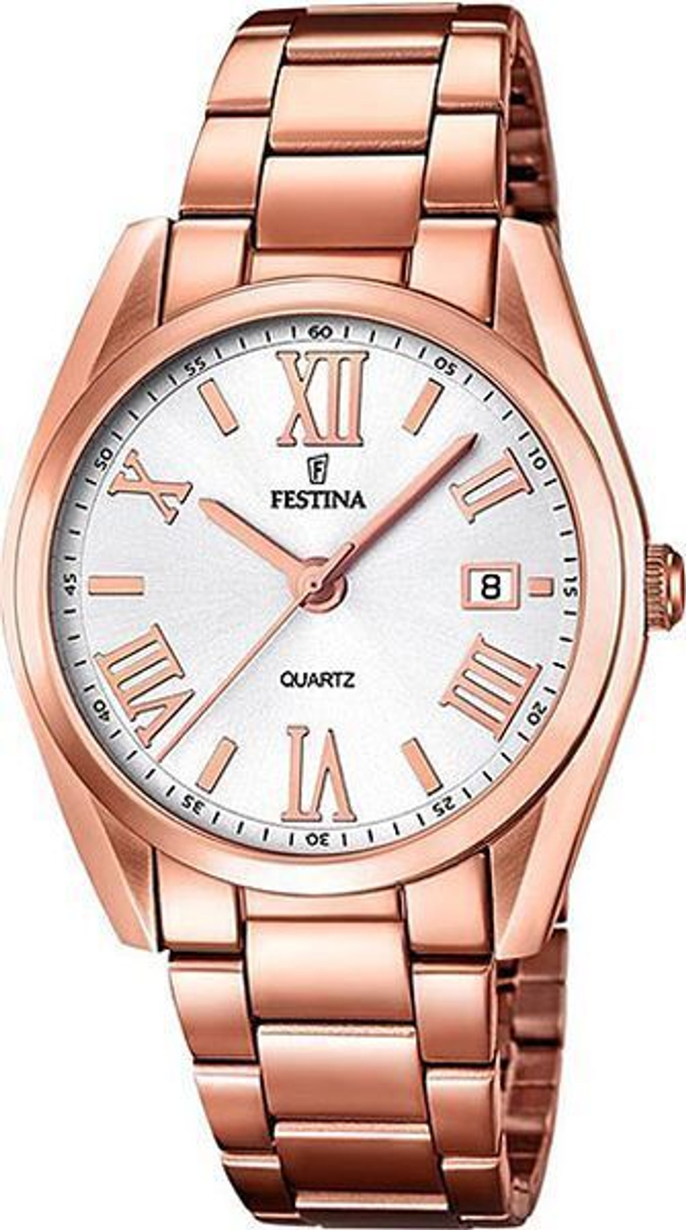 Часы Festina F16793/1