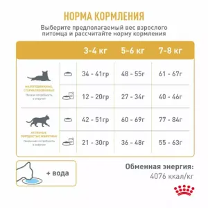 Корм для кошек бенгальской породы, Royal Canin Bengal, в возрасте от 1 года и старше