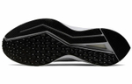 Кроссовки Nike Zoom Winflo 6 Shield