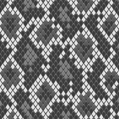 Черно-белый питон