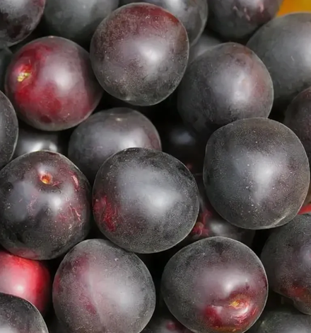 Черрикос ЗКС контейнер 7,5л, 3х летний саженец май 26