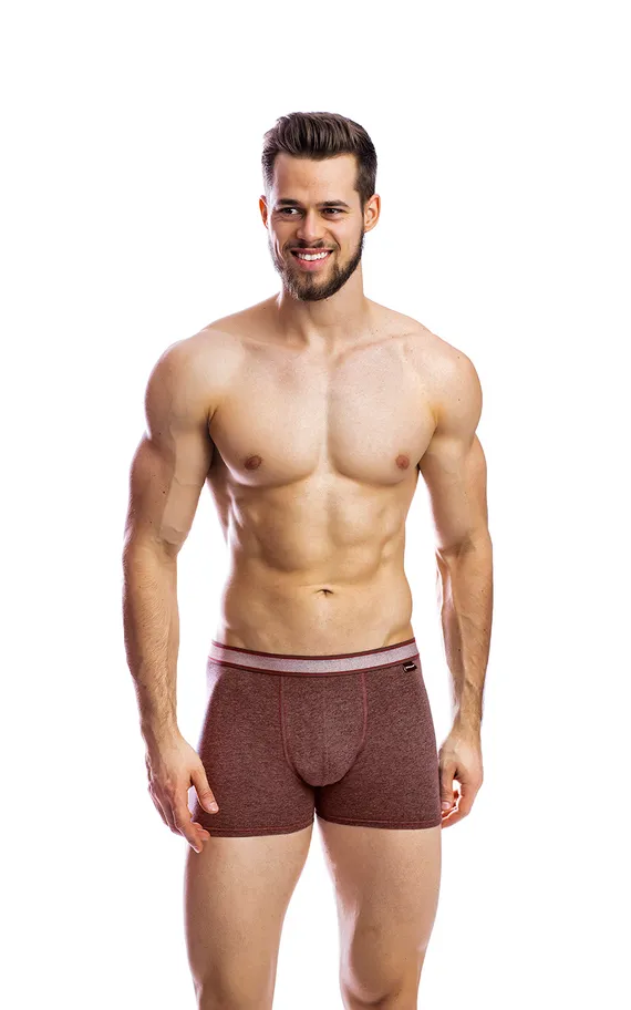 Мужские трусы BB99 Коричневый