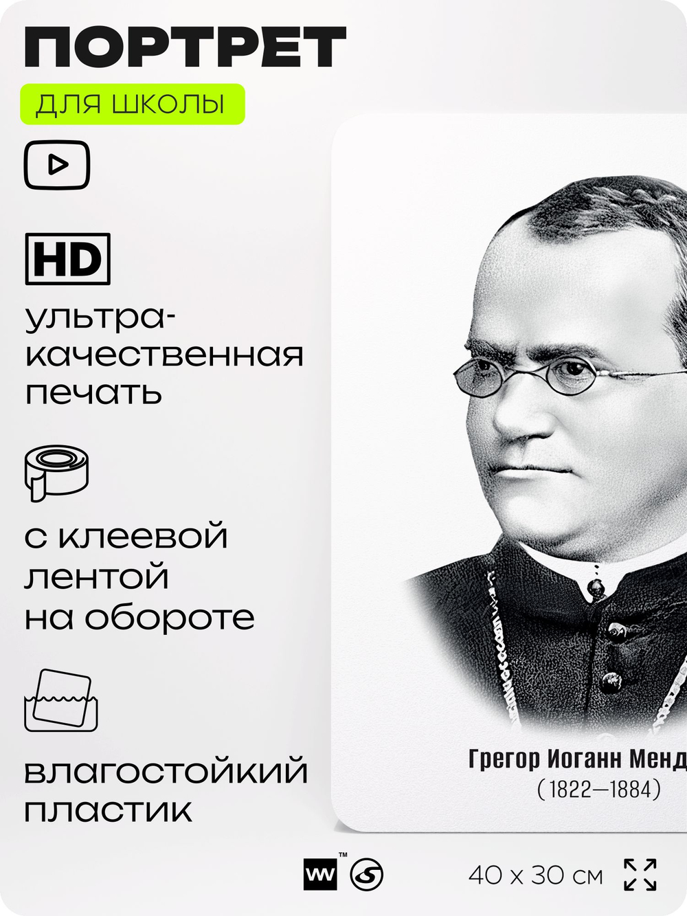 Портрет для школы в кабинет биологии "Грегор Иоганн Мендель", стенд школьный для класса, деятели науки для оформления классного уголка, 40х30 см, Silver Plane x Айдентика Технолоджи