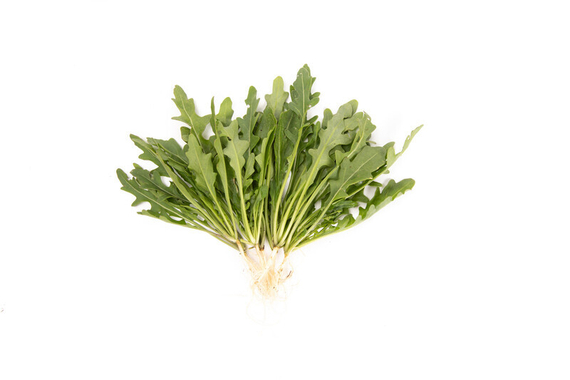 ТЕМИСТО семена рукколы Rijk Zwaan семена – фото 2