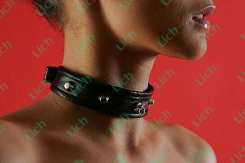 Ошейник узкий с окантовкой