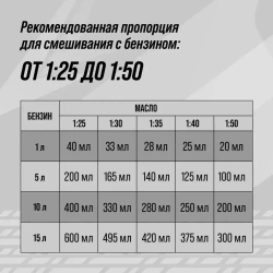 Масло моторное 2Т для бензопил и садовой техники ВМПАВТО, 1000 мл, 2х тактное