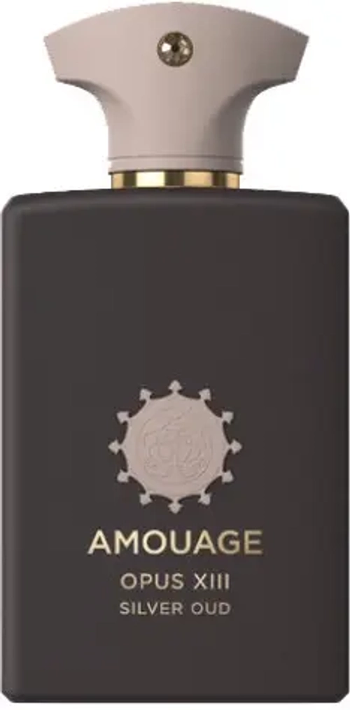 AMOUAGE LIBRARY OPUS XIII SILVER OUD EDP 100 ML