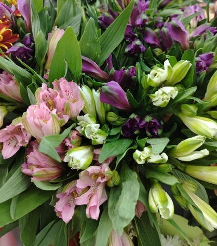 Букет из 7 веток альстромерий микс