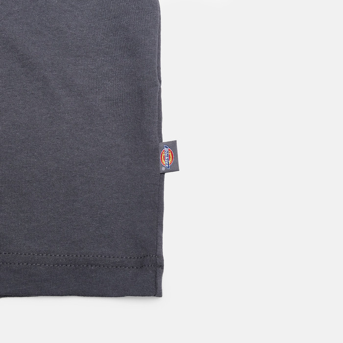 Лонгслив Dickies Payson 2-in-1 Let T-shirt артикул:DK0A88JFBLK1 - купить в магазине Дайс