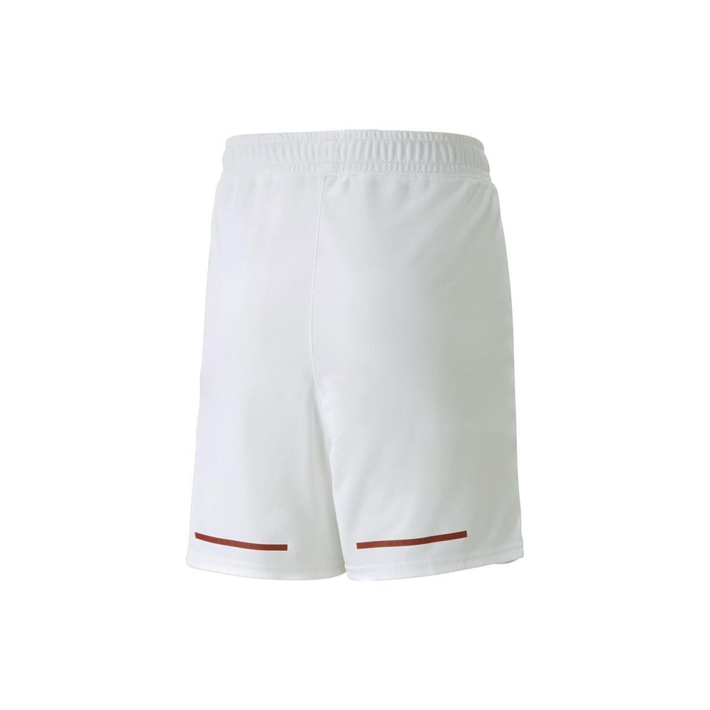 Шорты PUMA 2022-23 Logo, 765750-04