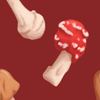 Грибы 2 (Бордовый фон)