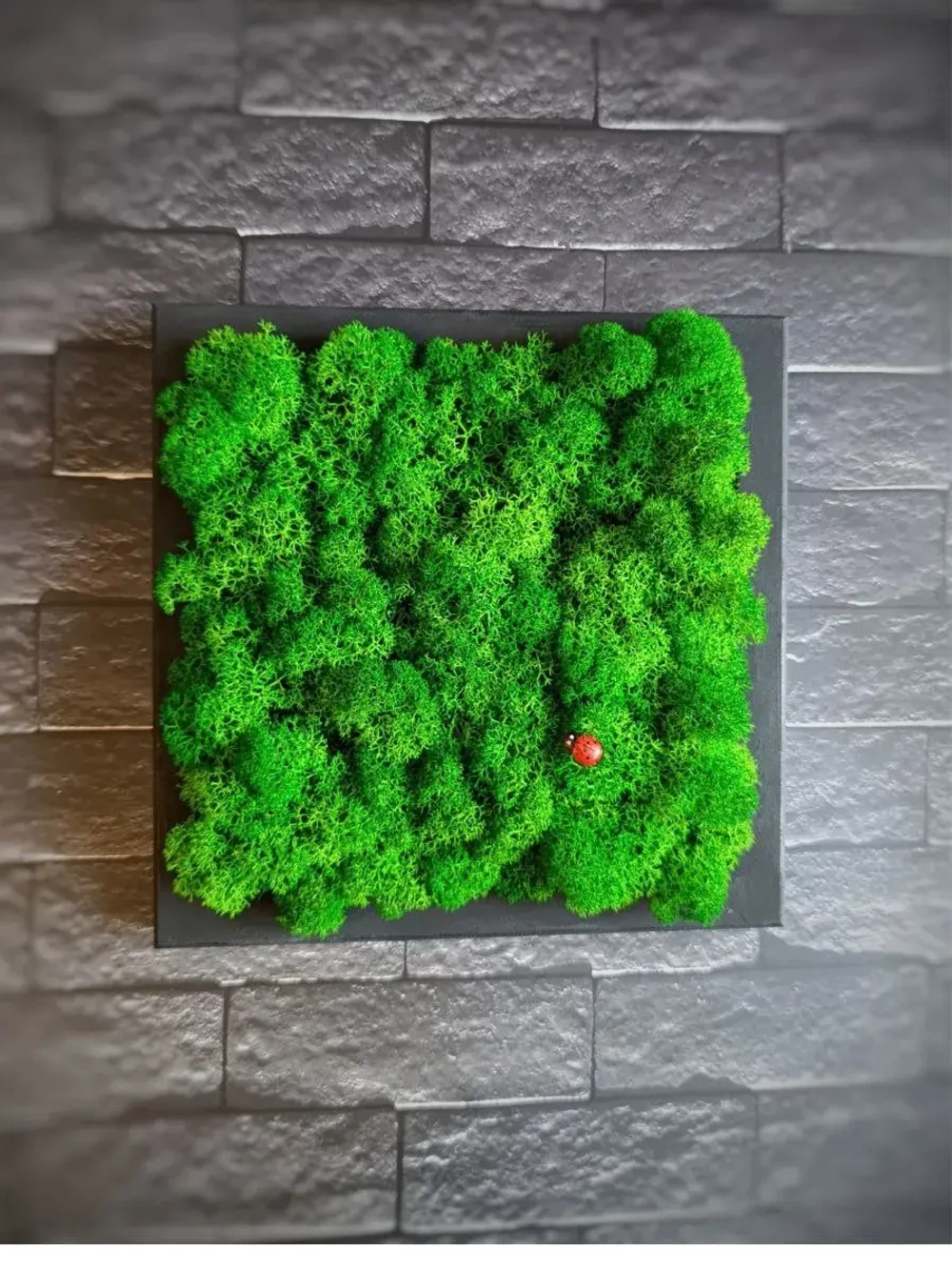 Квадратное панно на стену 20*20 из мха набор 2 шт.