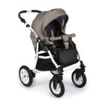 Коляска 2 в 1 Alis Berta