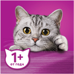 ВИСКАС РАГУ КУРИЦА 75Г