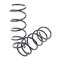 Пружины GANZ передние L R RENAULT Kangoo 1.2 / 1.4 / 1.6L all - 08 (комплект из 2шт)