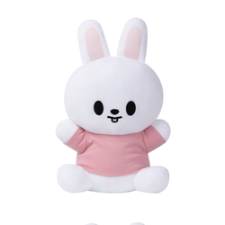 Мерч SKZOO PLUSH HUG-ME Ver. [Плюш]