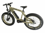 Электрофэтбайк E-motions FAT 20 Double 2