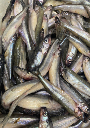 Крупный опт